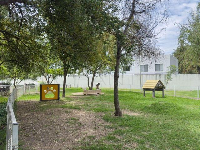 place photo 43
