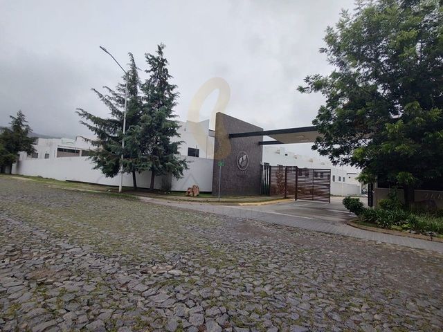 place photo 47