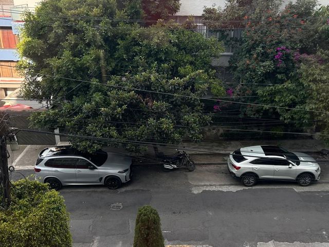 place photo 28