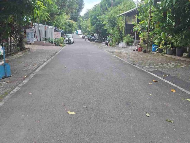 place photo 7