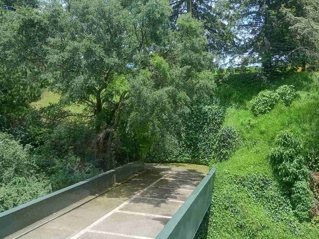 place photo 48