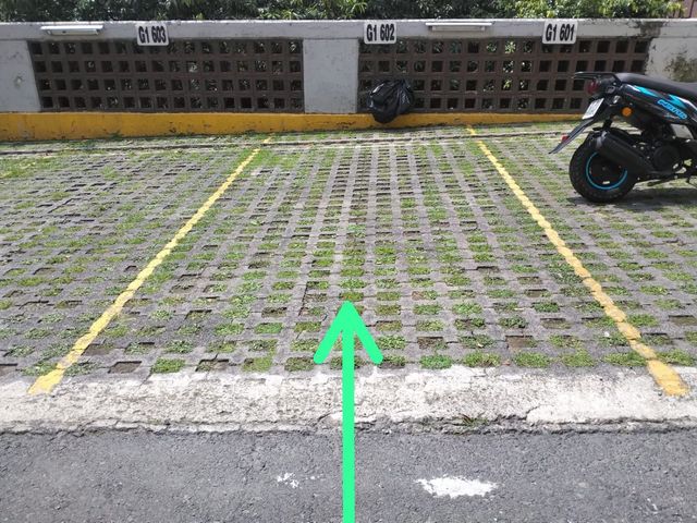 place photo 15