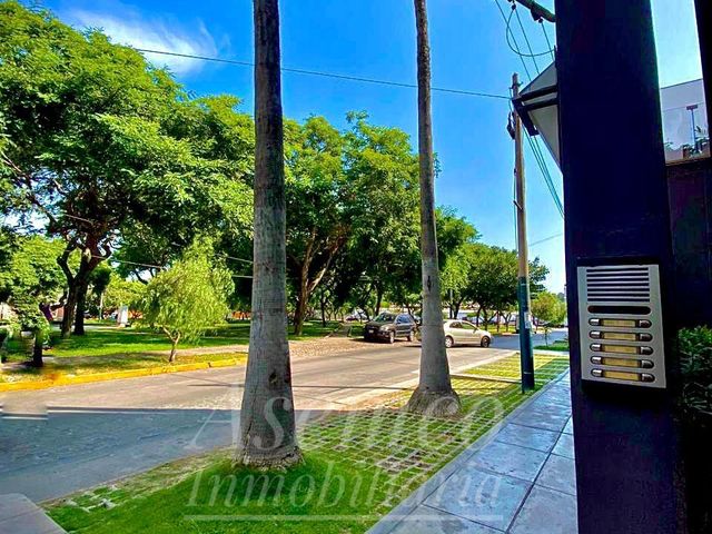 place photo 54