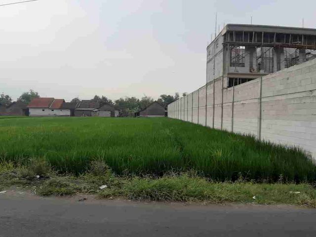 place photo 6