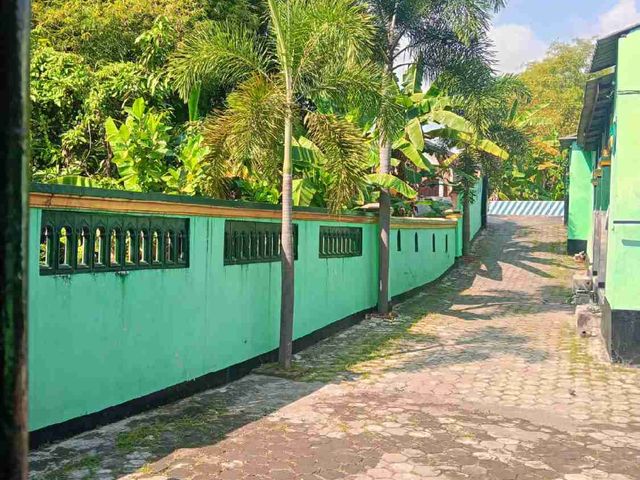 place photo 8