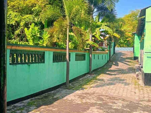 place photo 9