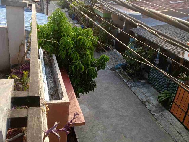 place photo 19