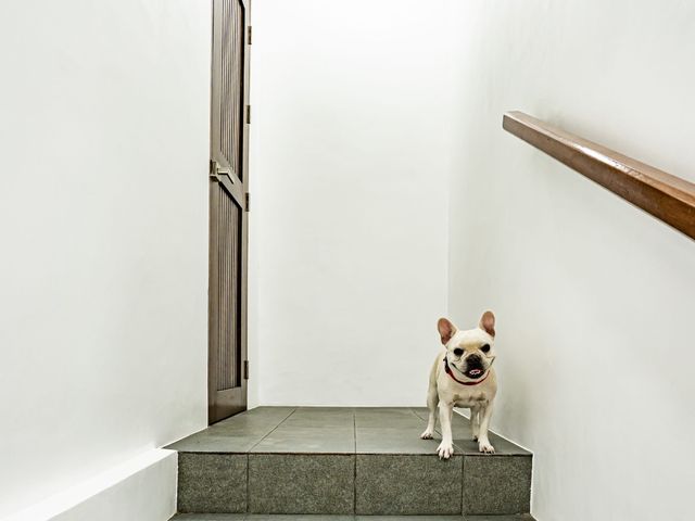 place photo 52