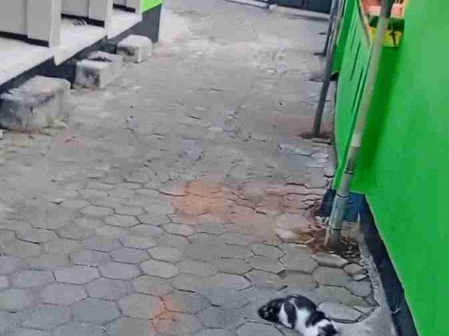 place photo 9