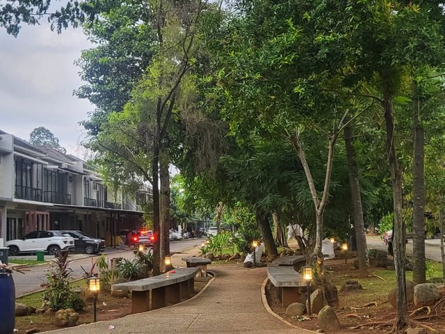 place photo 17