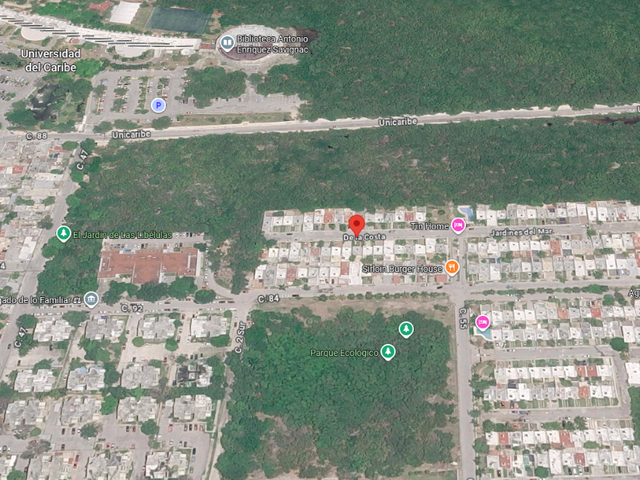 place photo 9