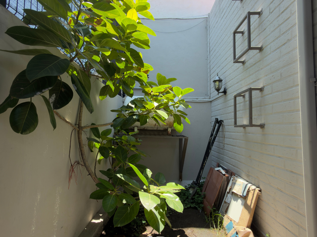 place photo 34