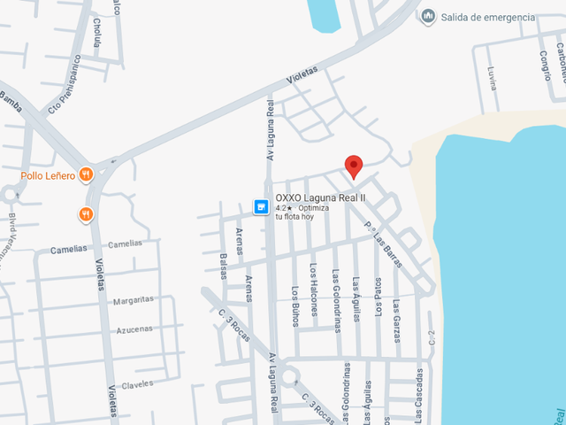 place photo 13