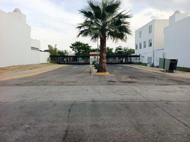 place photo 19