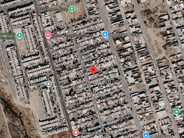 place photo 4
