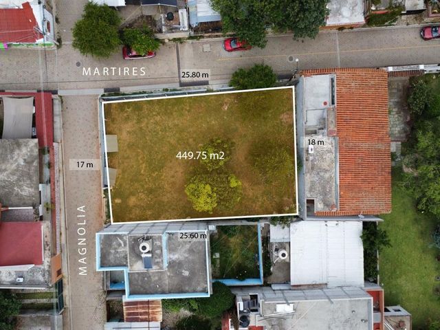 place photo 12