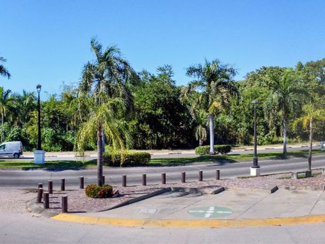 place photo 31