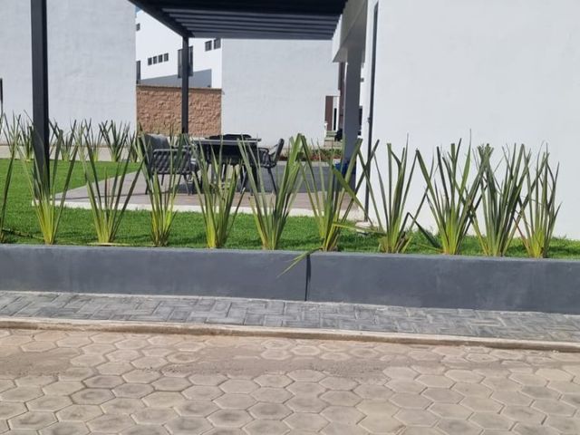 place photo 39