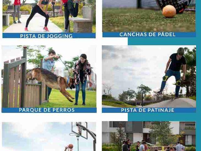 place photo 33