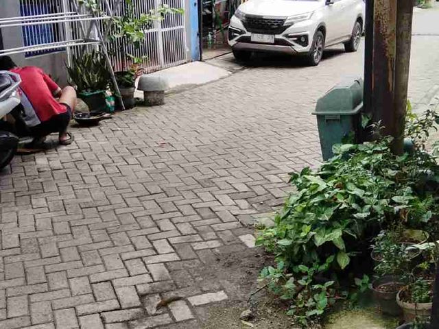 place photo 2