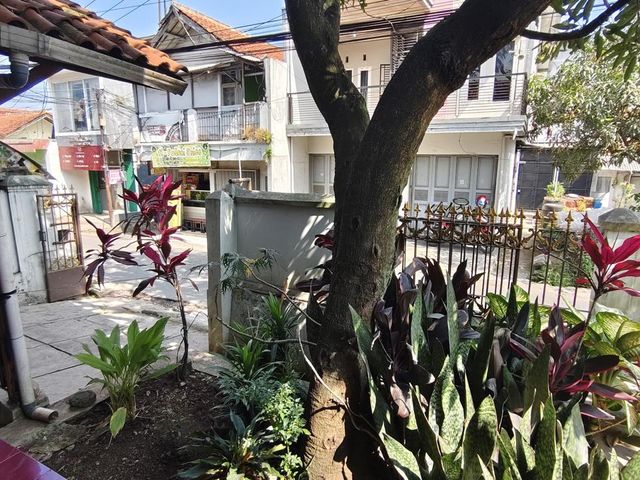 place photo 1