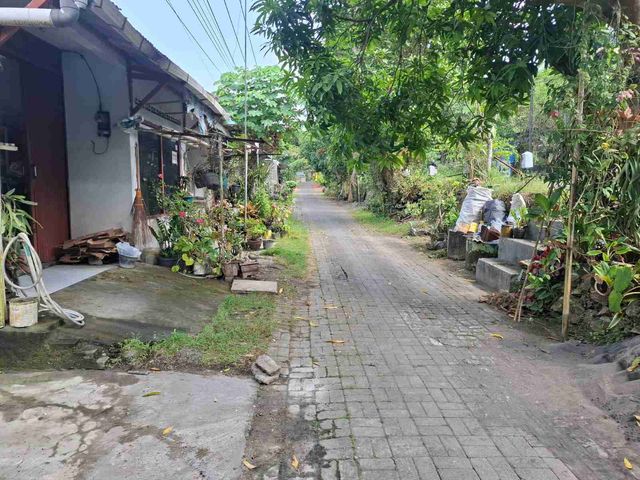 place photo 10