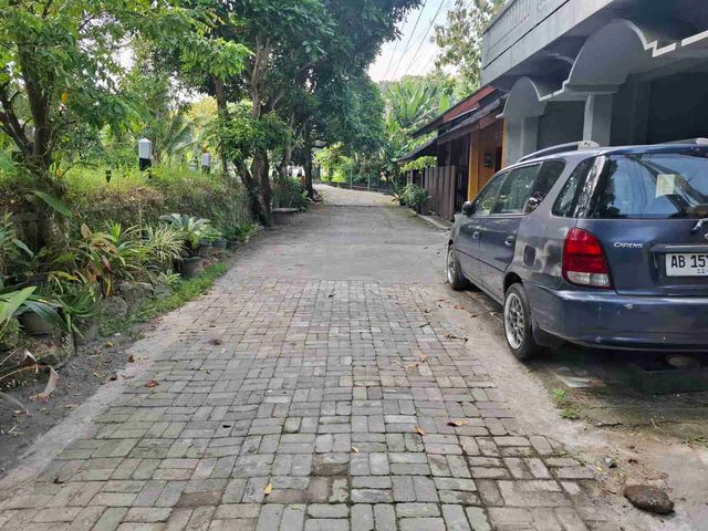place photo 11