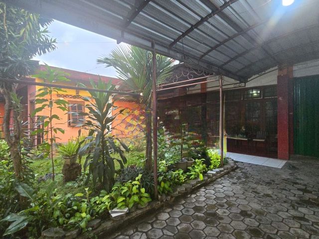 place photo 24