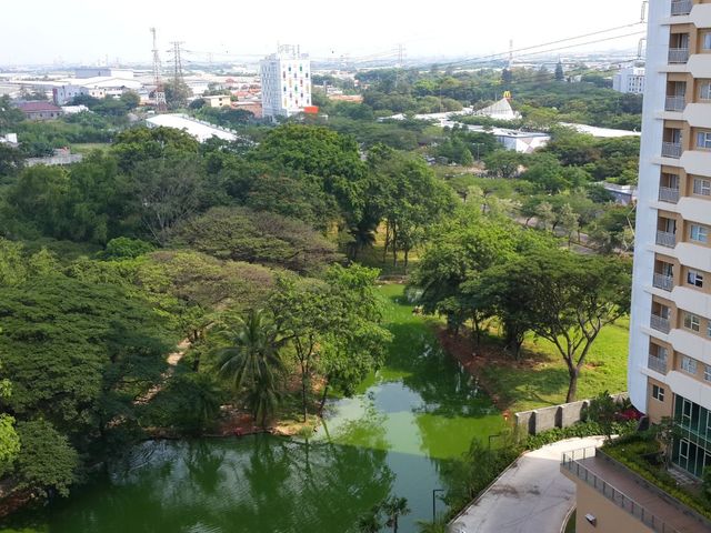 place photo 24