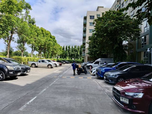 place photo 14