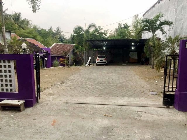 place photo 9