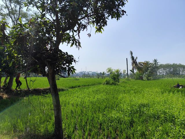 place photo 22