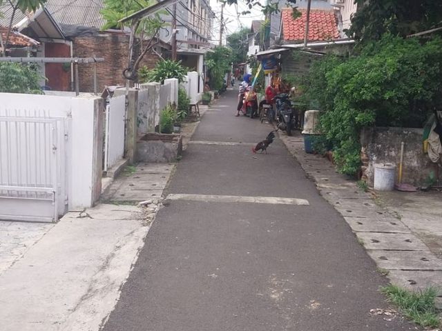 place photo 4
