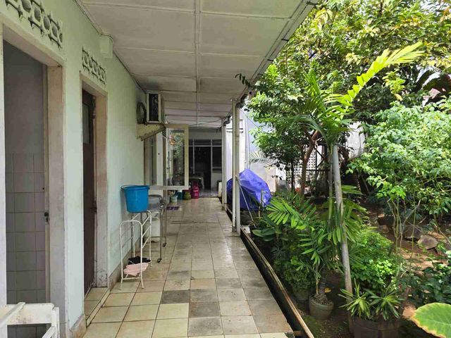 place photo 38
