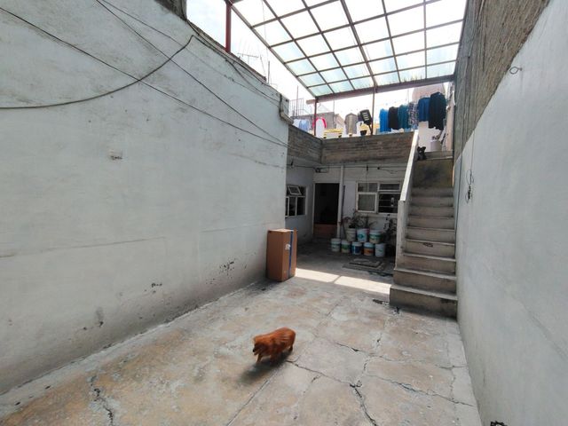 place photo 37