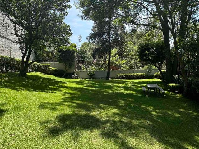 place photo 41