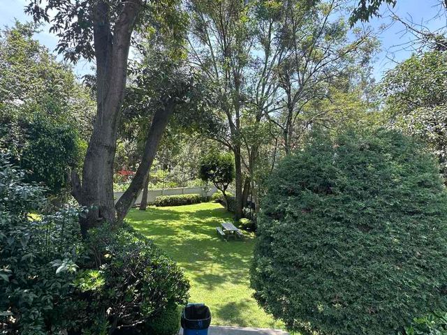place photo 34