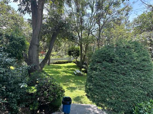 place photo 33