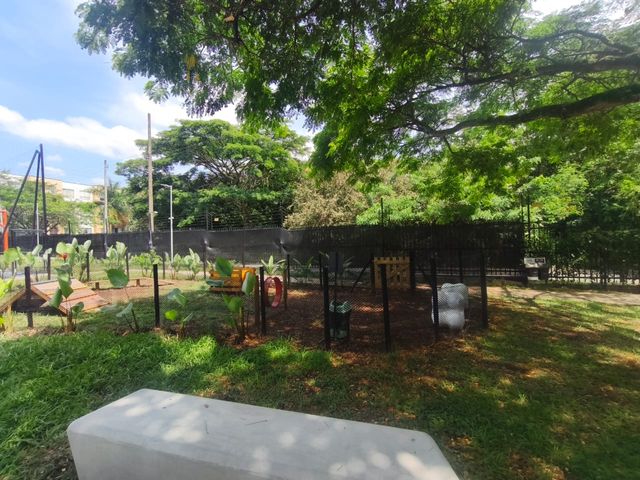 place photo 37