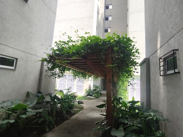 place photo 38