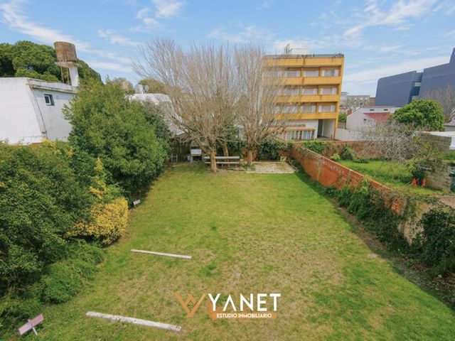 place photo 15