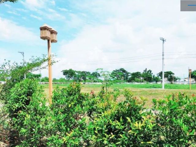 place photo 21
