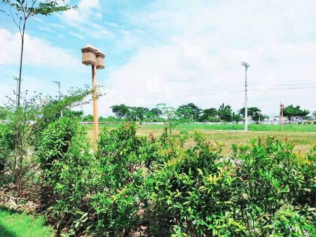 place photo 30