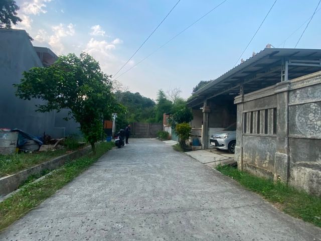 place photo 14