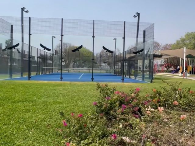 place photo 40