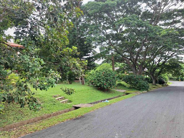 place photo 33