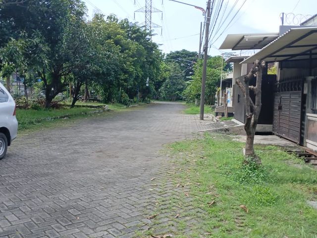 place photo 16