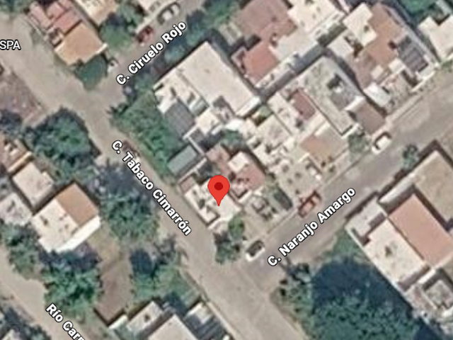 place photo 10