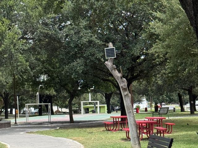 place photo 21