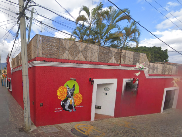 place photo 5